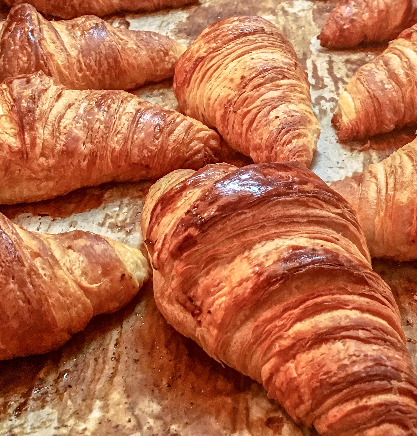 3rd PrizeAssigned Pictorial In Class 2 By James B. Hartsig For Yummy Croissants APR-2024.jpg